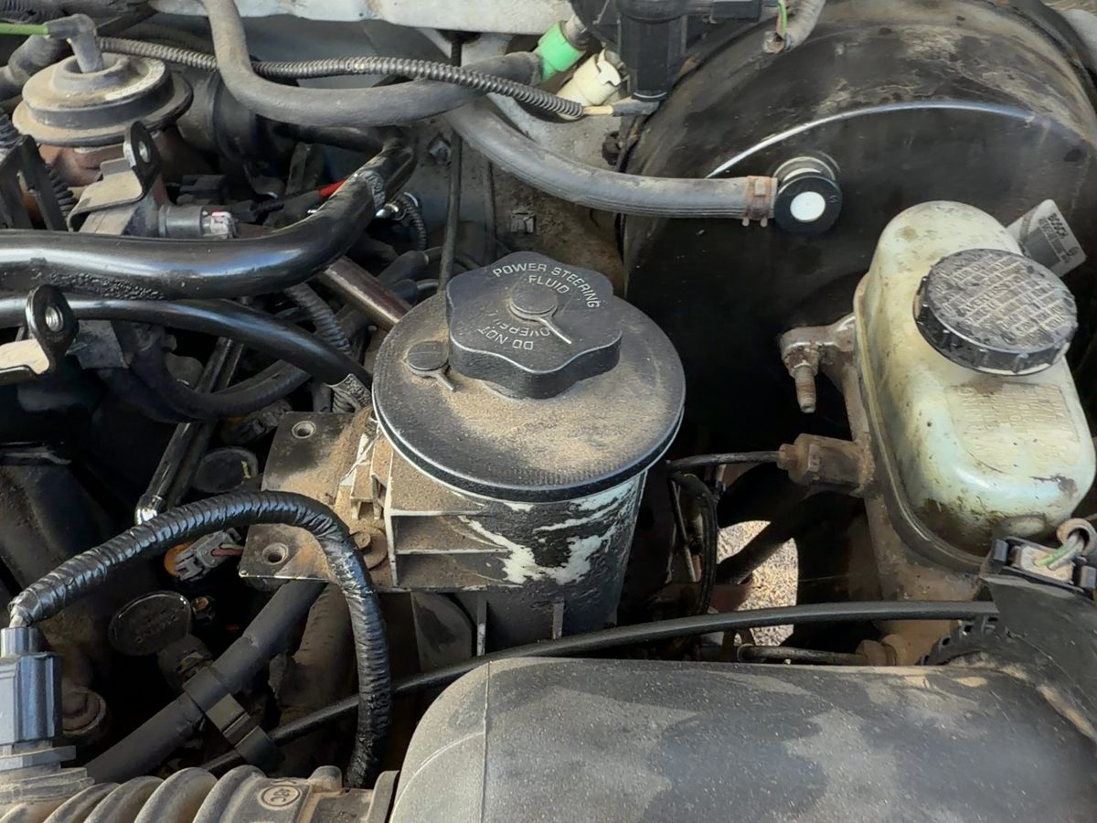 1997-2001 Ford F150 Power Steering Fluid Remote Reservoir Tank Oem 5.4L