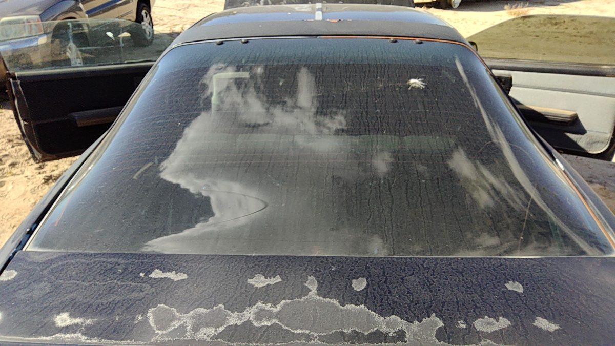 1989 Chevy Camaro Back Glass/window