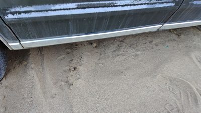 1985 Pontiac 6000 Passenger Right Rear Moulding From Door Oem Back Trim Strip