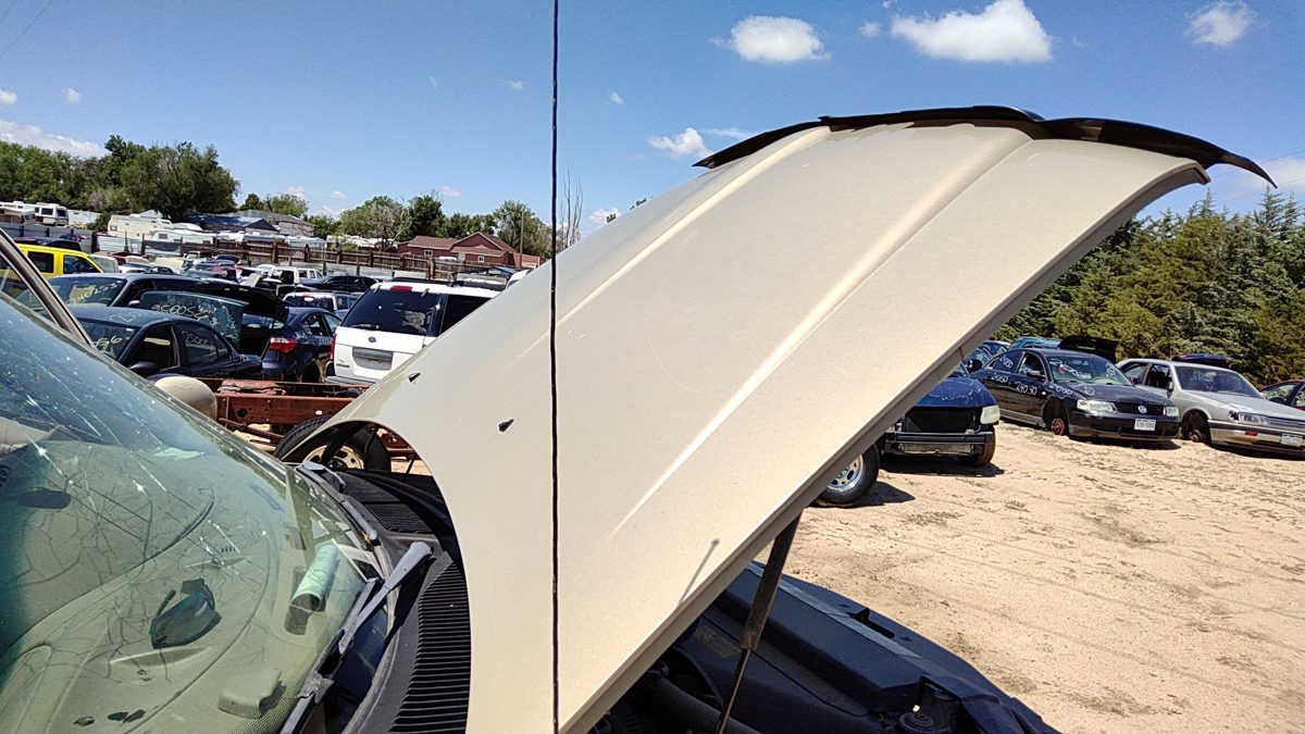 1998 Lincoln Navigator Hood