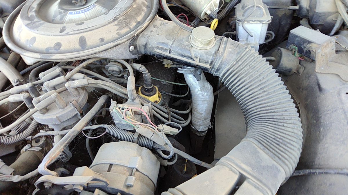 1979-1985 Mercury Grand Marquis Driver Left Cylinder Head Assembly Oem 5.0L