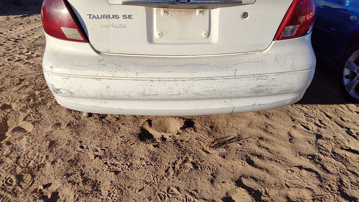 2000-2003 Ford Taurus Rear Bumper Cover Assembly Oem Back White 2F1z17k835ca