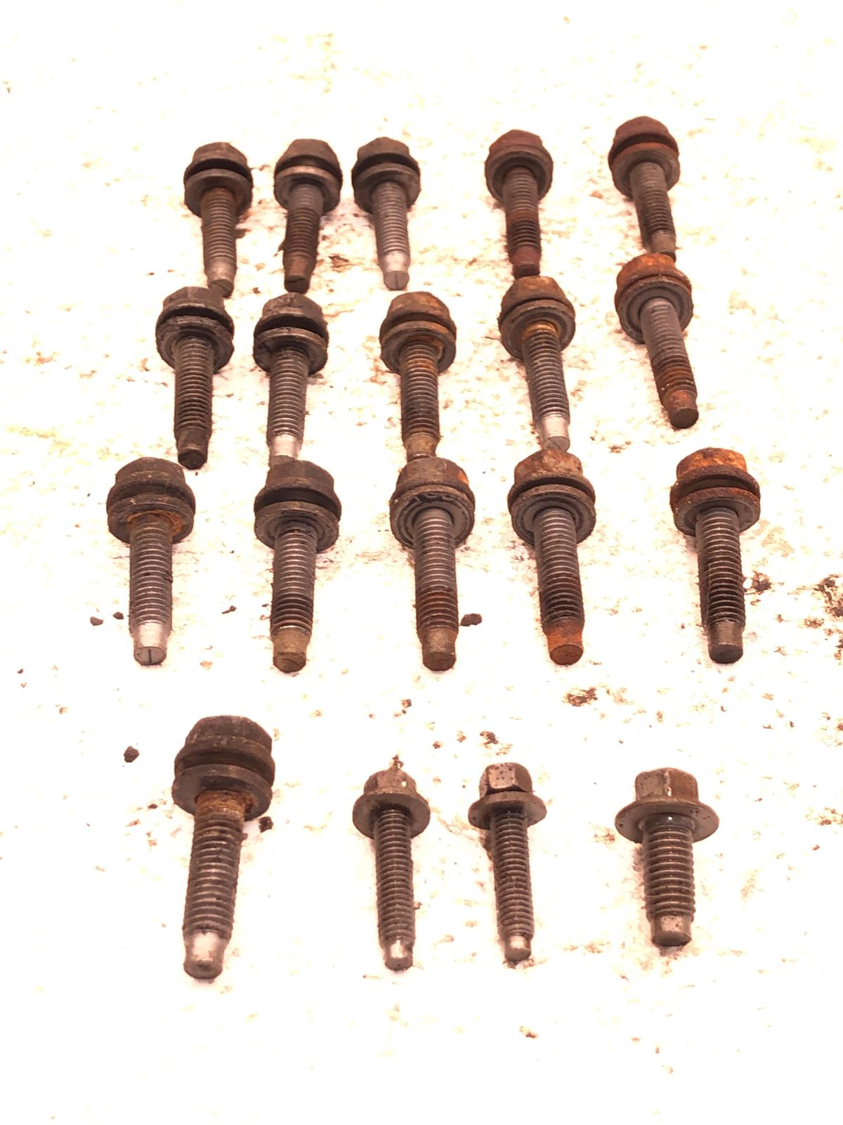 1998-2002 Lincoln Navigator Set Of Bolts For Engine Oil Pan Oem 5.4L Dohc