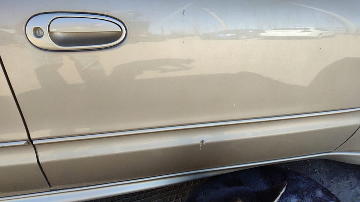 03-05 Grand Am Passenger Right Front Moulding From Door Trim 33U Champagne Beige