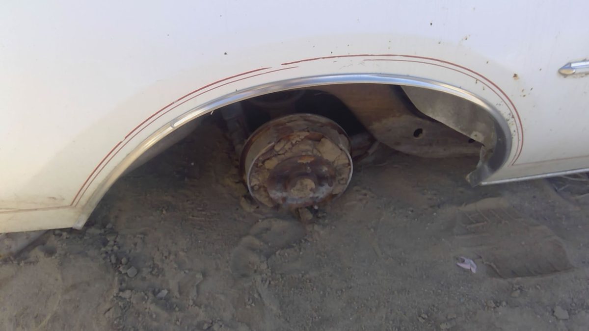 1978 Buick Regal Passenger Right Rear Wheel Moulding Oem
