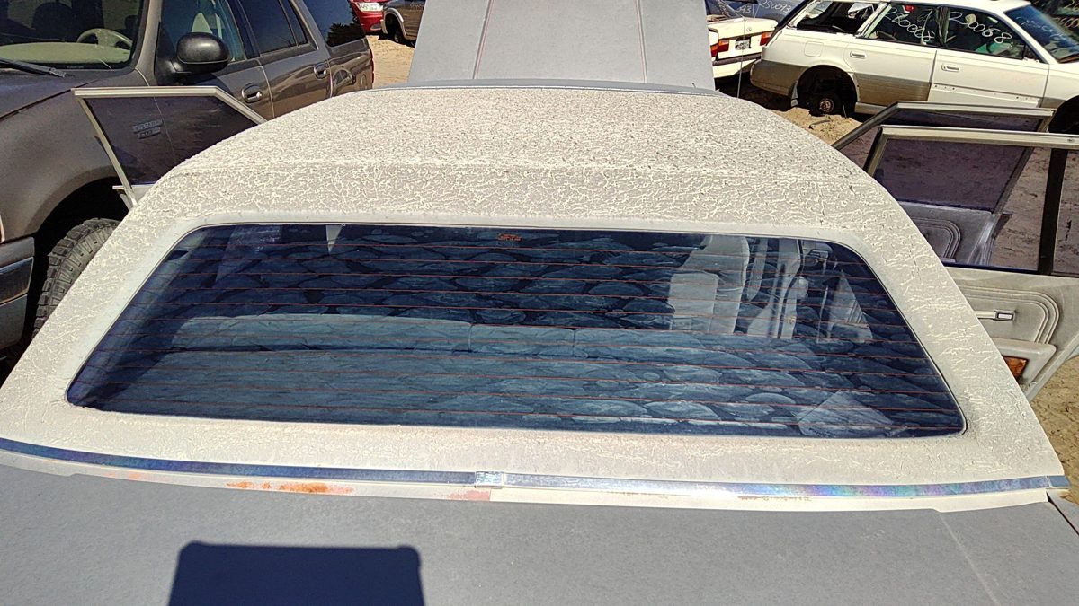 1980-1986 Mercury Grand Marquis Back Glass Rear Window Oem E0Vy5442006A