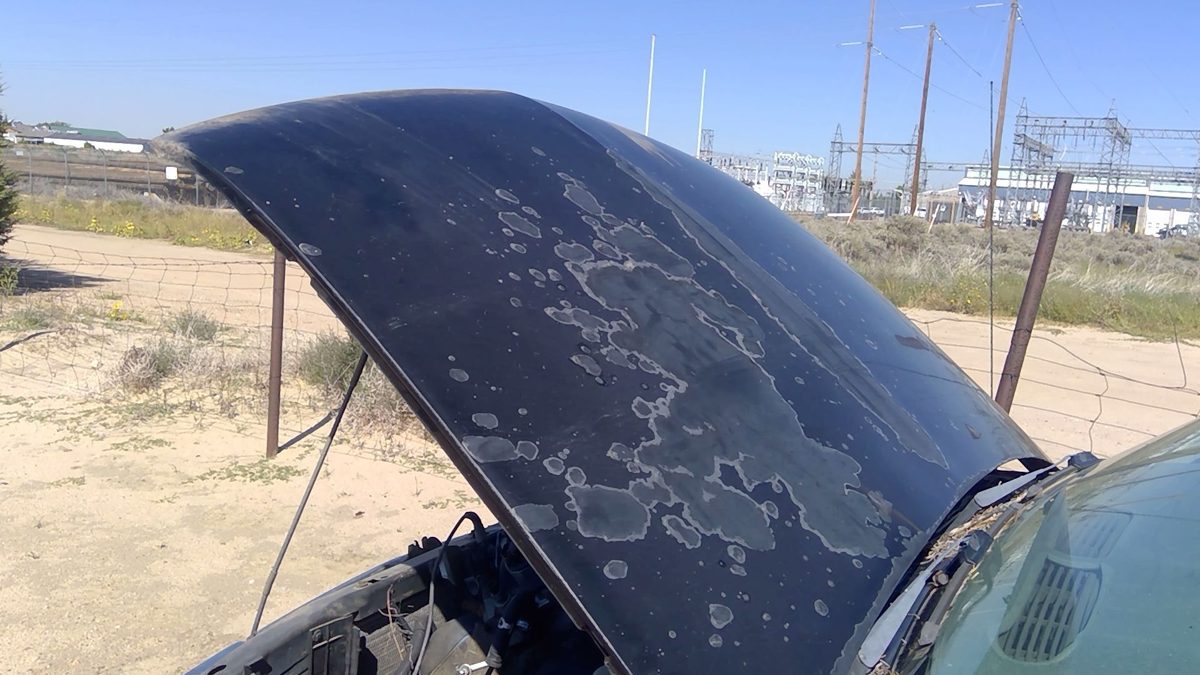 1998 Blazer S10/jimmy S15 Hood