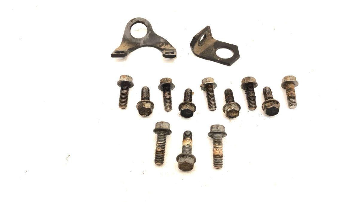 1992-1995 Chevy S10 Blazer Set Of Lower Intake Manifold Bolts Oem 4.3L 17113139