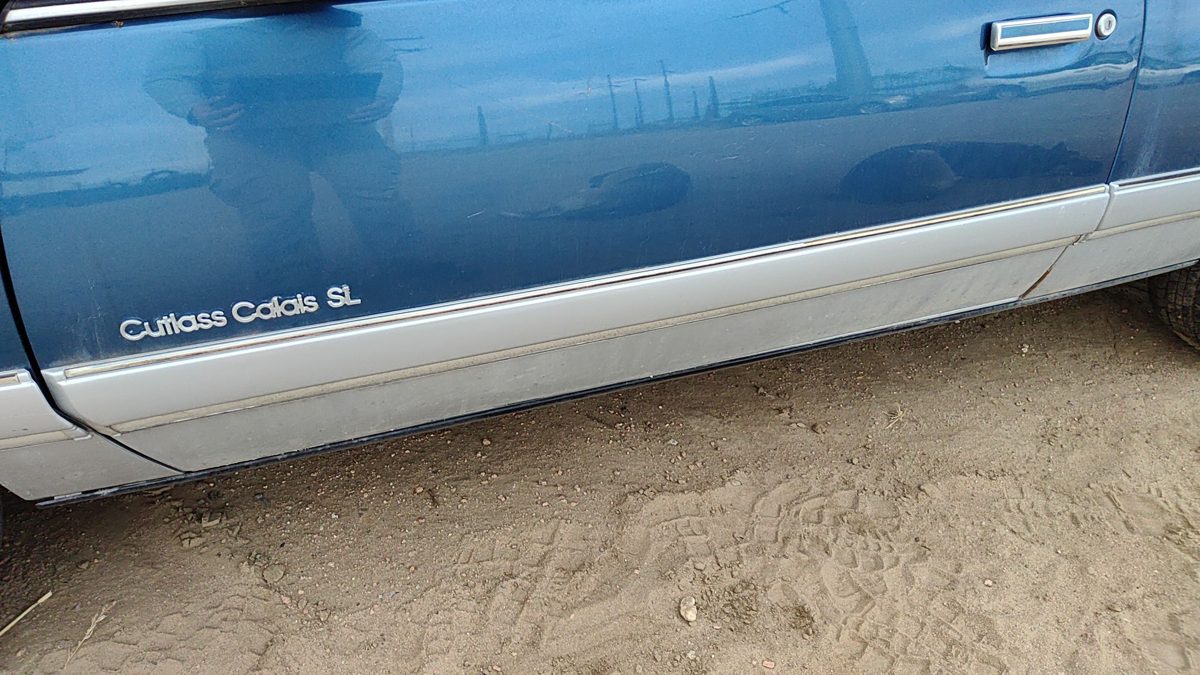 1989 Olds Cutlass Calais Driver Left Front Moulding From Door Trim Blue 2 Door