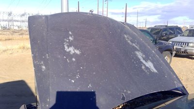 1999 Buick Park Ave Hood