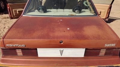 1985 Pontiac Sunbird Trunk/decklid/hatch/tailgate