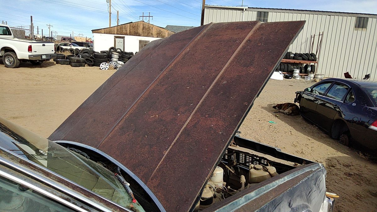 1979 Chevy Full Size Hood