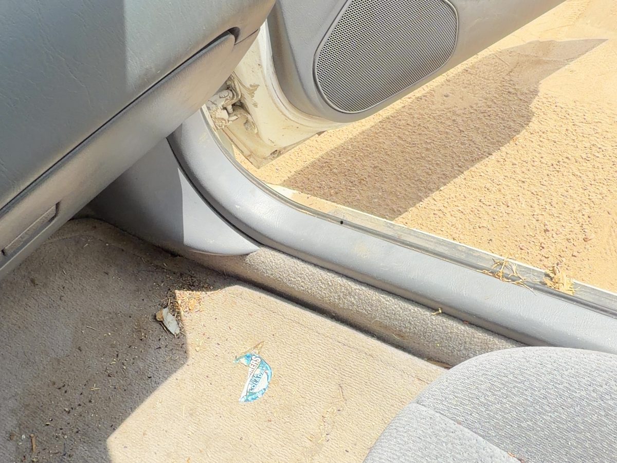 2000 Toyota Camry Kick Panel