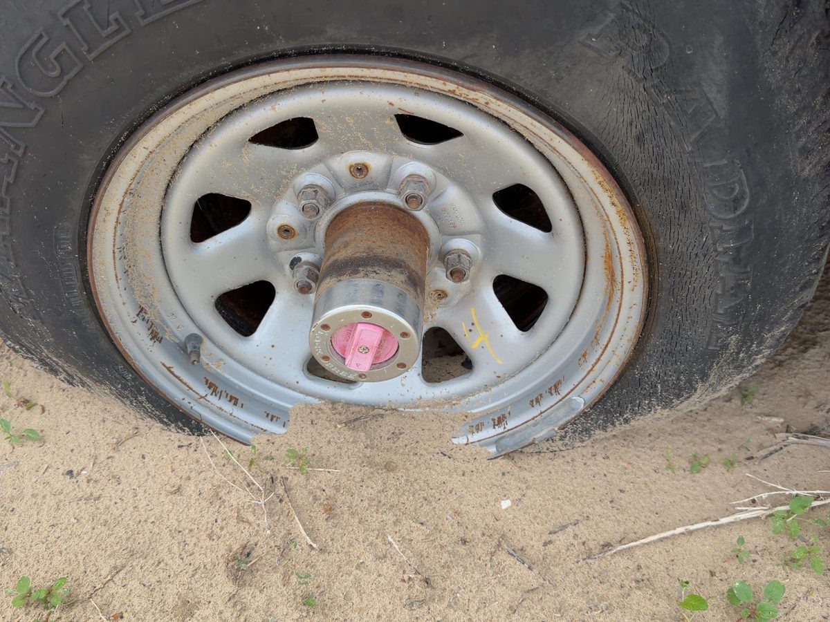 1980-1991 Ford F150 15" Wheel Oem Factory 8 Spoke Rim #4 E0Tz1015B