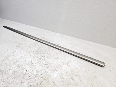 2004 Honda Civic Front Door Moulding