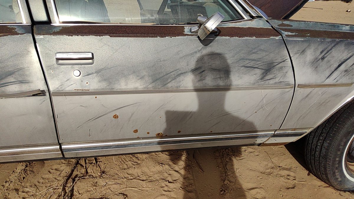 1979 Chevy Full Size Front Door