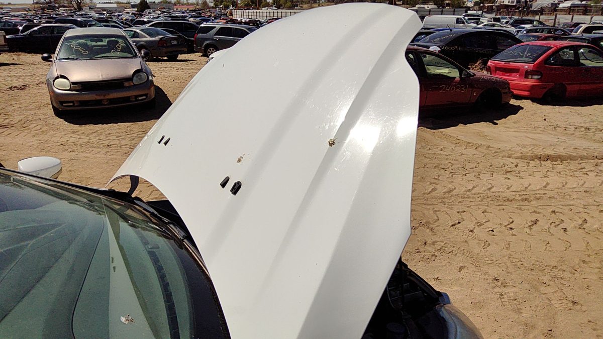 2014 Ford Focus Not Rs Hood