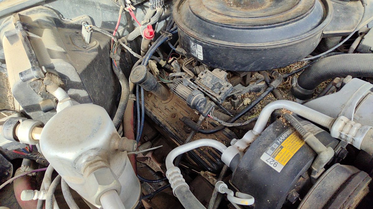1988-1994 Chevy S10 Pickup Passenger Right Valve Cover Oem 4.3L