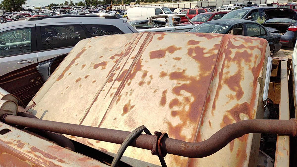 1969 Ford Pickup F100 Hood