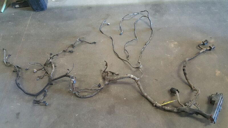 2002 Cavali Wire Harness (engine)