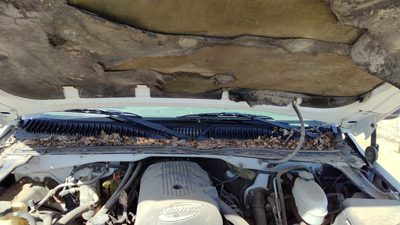 2005 Gmc Sierra 1500 Cowl Vent Panel/screen