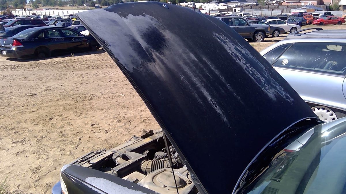 1993 Buick Park Ave Hood