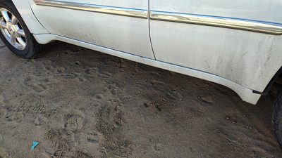 2002-2009 Gmc Envoy Driver Left Lower Rocker Panel Moulding Side Skirt White 50U