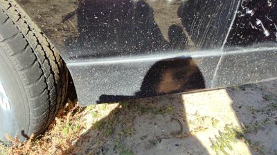 1989 Chevy Camaro Lh Driver Left Rear Moulding On Quarter Panel Oem Black