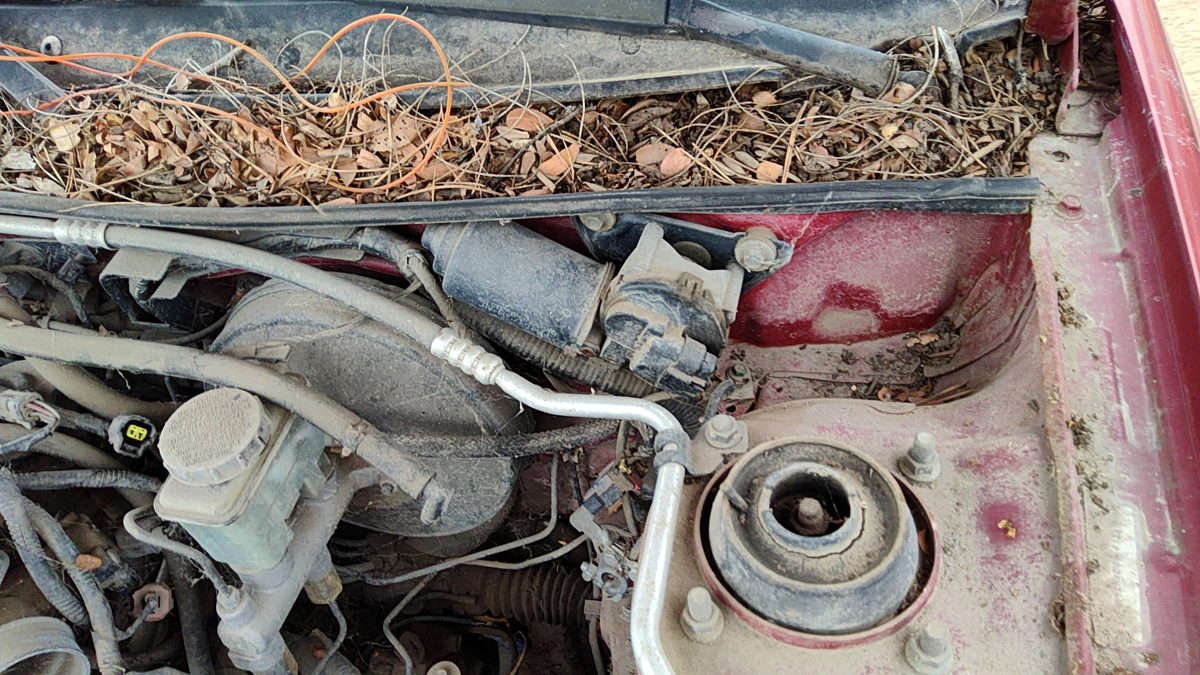 1991-2003 Ford Escort Windshield Wiper Motor Oem 6M5Z17508Aa
