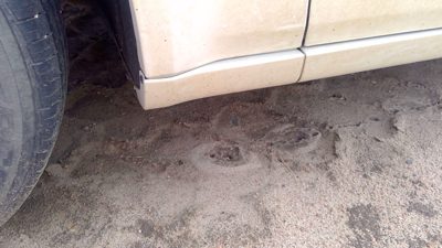 2010 Chrysler 300 Driver Left Moulding From Fender Oem Trim Strip White Pwg