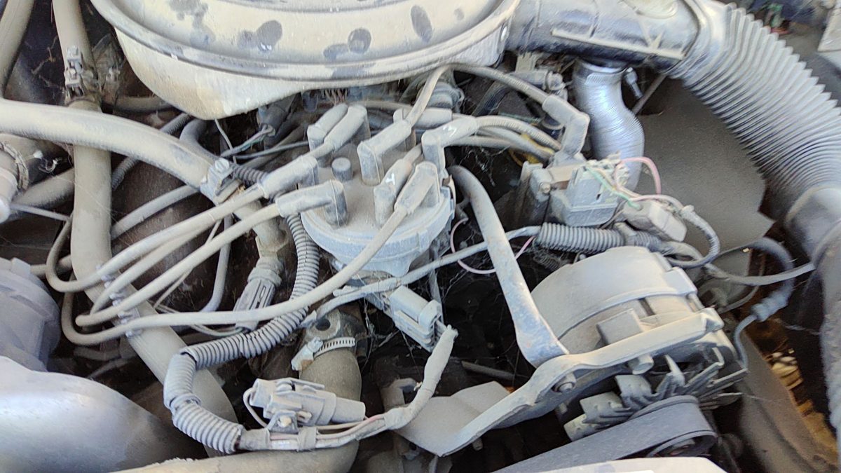 1985 Mercury Grand Marquis Ignition Distributor Oem 5.0L E5Tz12127B