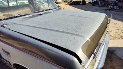 1989 Ford Pickup F150 Hood