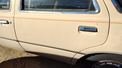 1984 Ford Tempo Rear Door