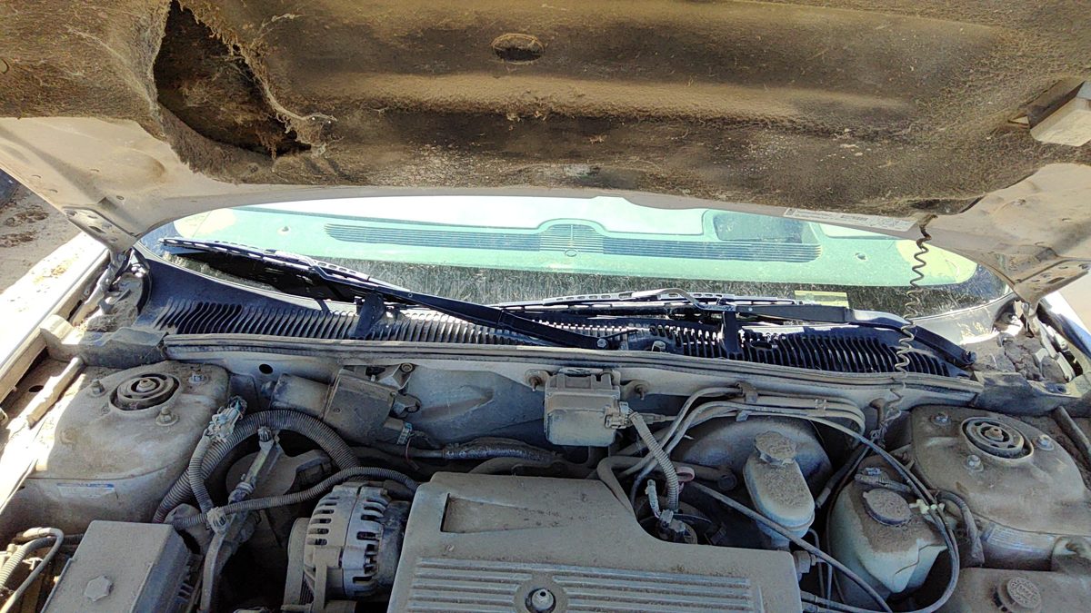 1997 Park Ave Ultra Windshield Wiper Cowl Vent Trim Panel Oem Cover