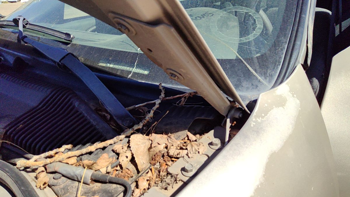 2003 Chevy Cavalier Hood Hinge