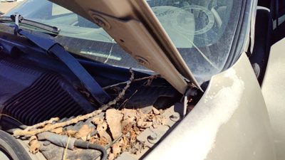 2003 Chevy Cavalier Hood Hinge