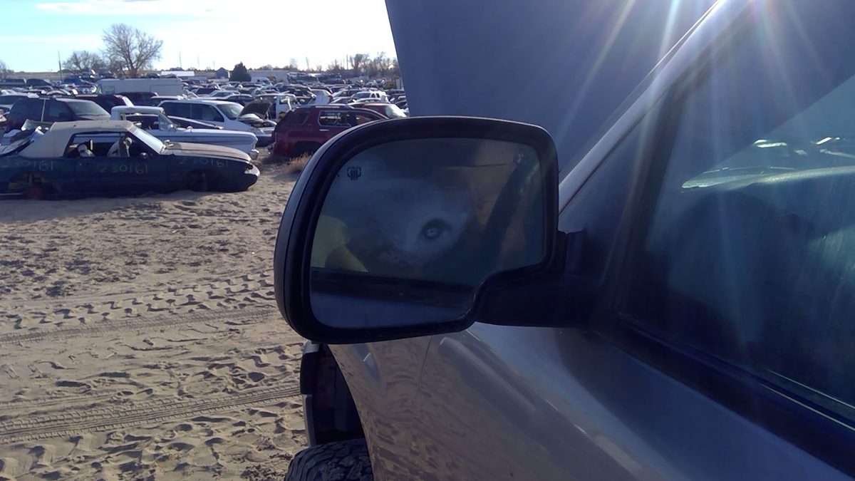 2000 2001 2002 Chevy Tahoe Driver Left Side Mirror Door Mounted Oem Power Dr2