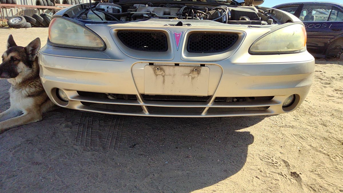 2003-2005 Pontiac Grand Am Front Bumper Cover Assembly Oem 33U Champagne Beige
