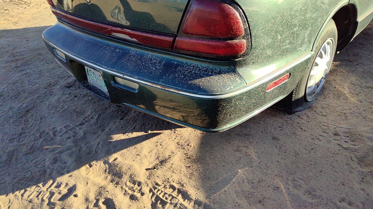 1996-1999 Olds 88 Rear Bumper Cover Assembly Oem Back Green 25644010