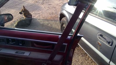 90 Olds Eighty Eight Passenger Right Front Seat Belt Retractor Oem Shoulder Red