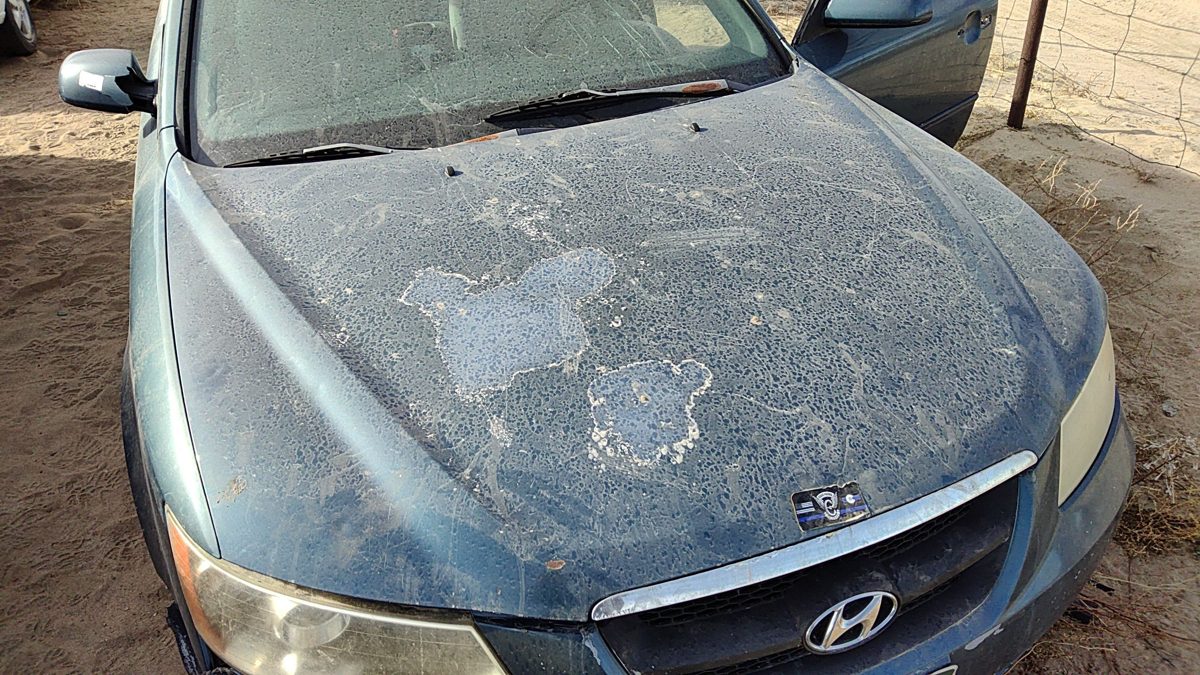 2006 Hyundai Sonata Hood