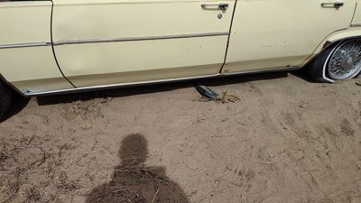 1980 Cadillac Deville Driver Left Lower Rocker Panel Moulding Side Skirt Oem