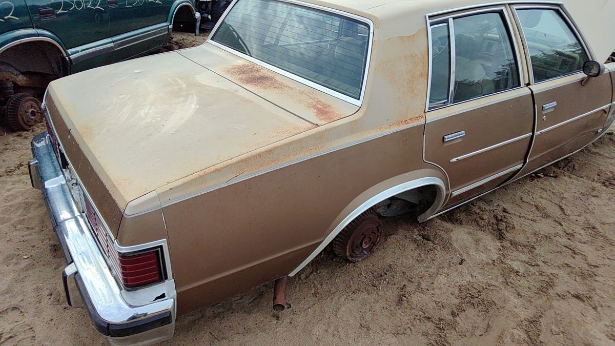 1981-1983 Chevy Malibu Passenger Right Rear Quarter Panel Cut 20269736 4 Door