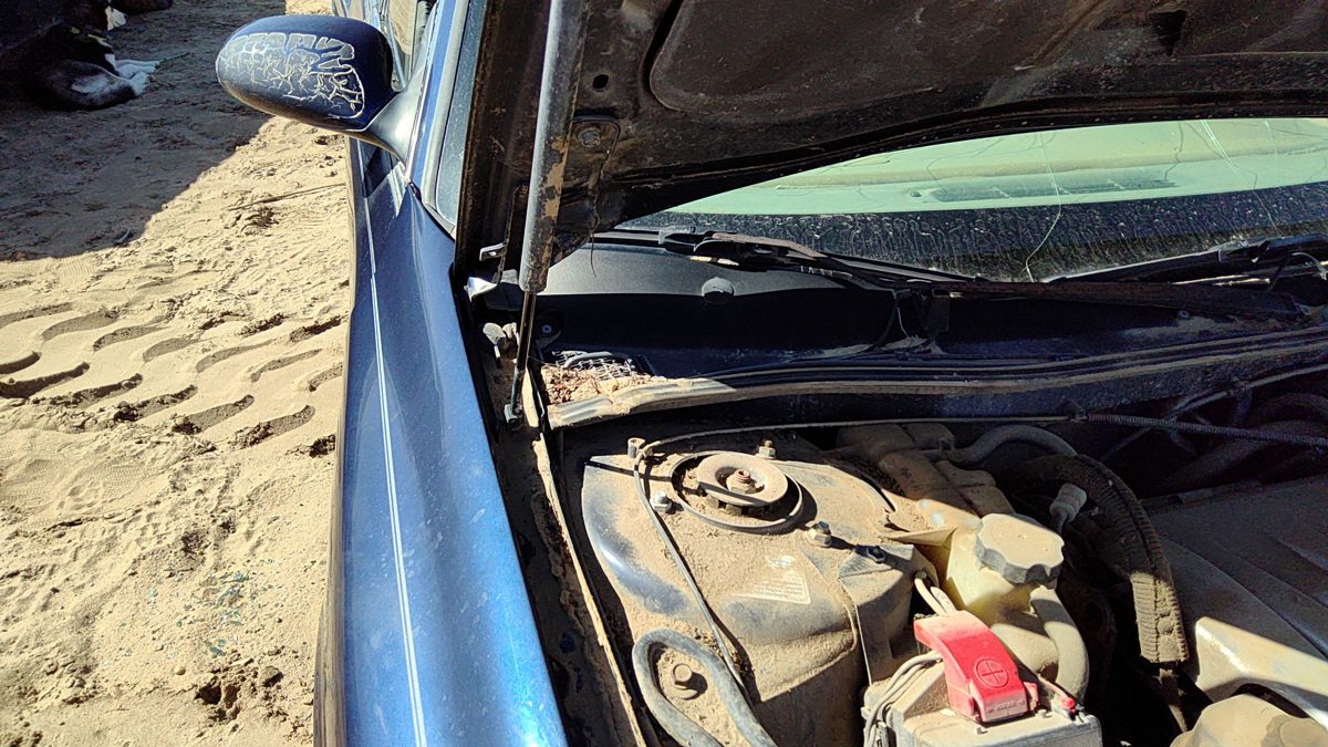 99-02 Oldsmobile Intrigue Driver Left Hood Hinge Assembly Oem Blue 28u 12457716