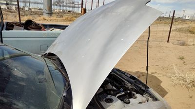 2002 Pontiac Sunfire Hood