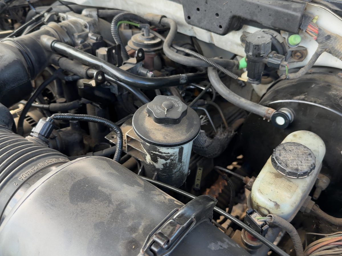 1999-2004 Ford F150 Driver Left Cylinder Head Assembly Oem 5.4L Xl3Z6049Ja