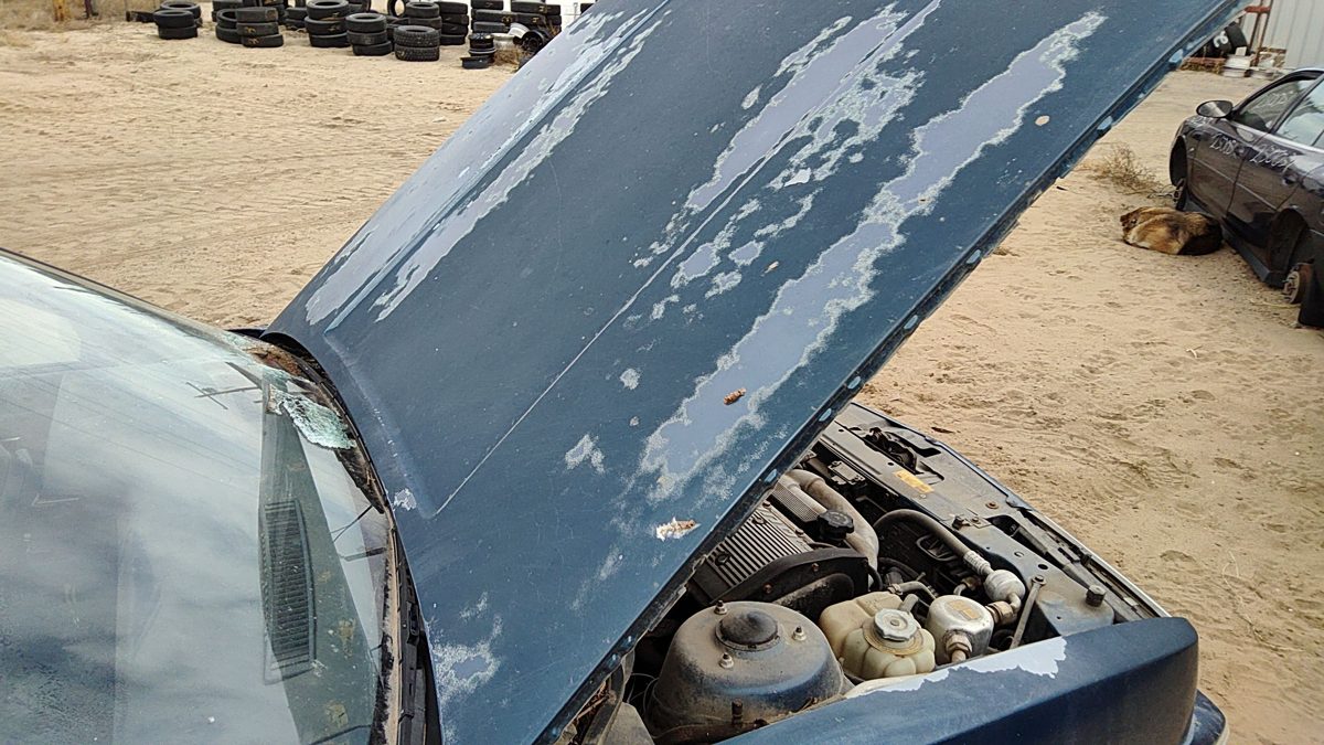 1989 Olds Calais Hood