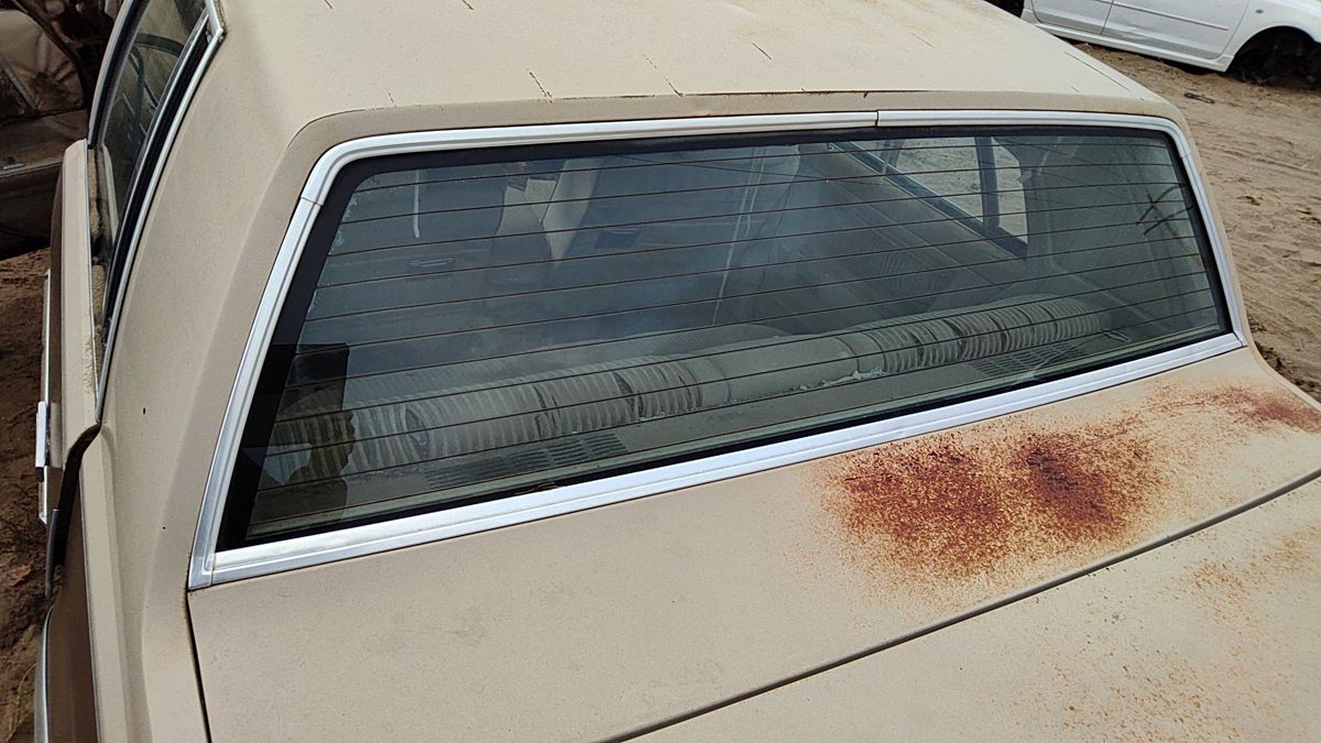 1981 Chevy Malibu Back Chrome Trim Around Window Surround Moulding Rear 4 Door