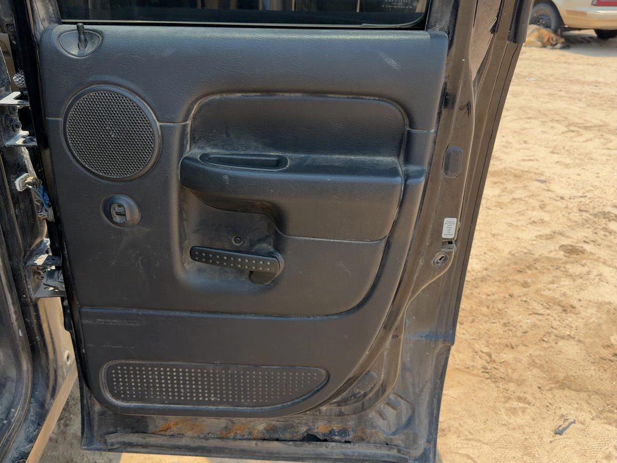 2002 Dodge Pickup 1500 Rear Door Trim Panel