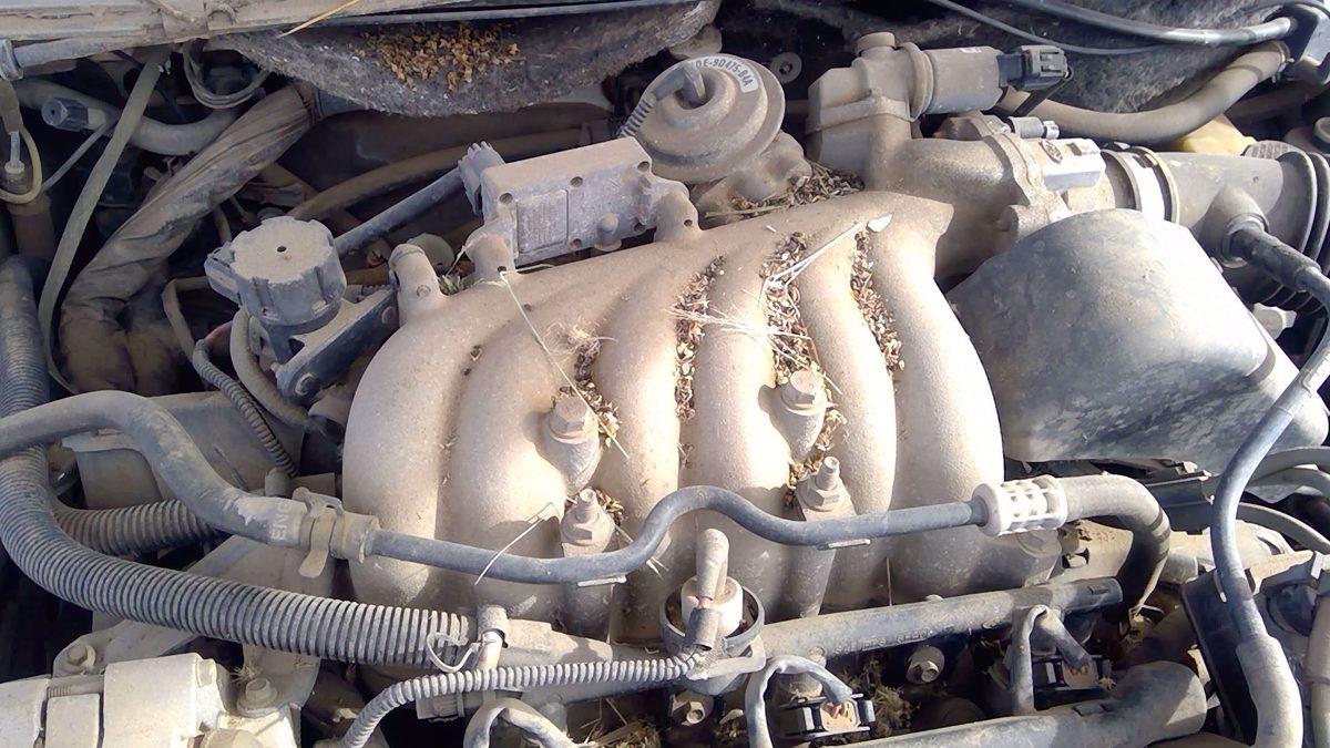 1998-1999 Mercury Sable Upper Intake Manifold Oem 3.0L Ohv F8dz9424aa